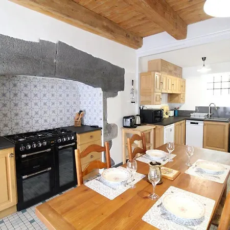 Charmante Maison 3 Avec Jardin, Proche Saint-flour, Anim. Acceptes, Wifi - Fr-1-742-570 Ferienhaus *